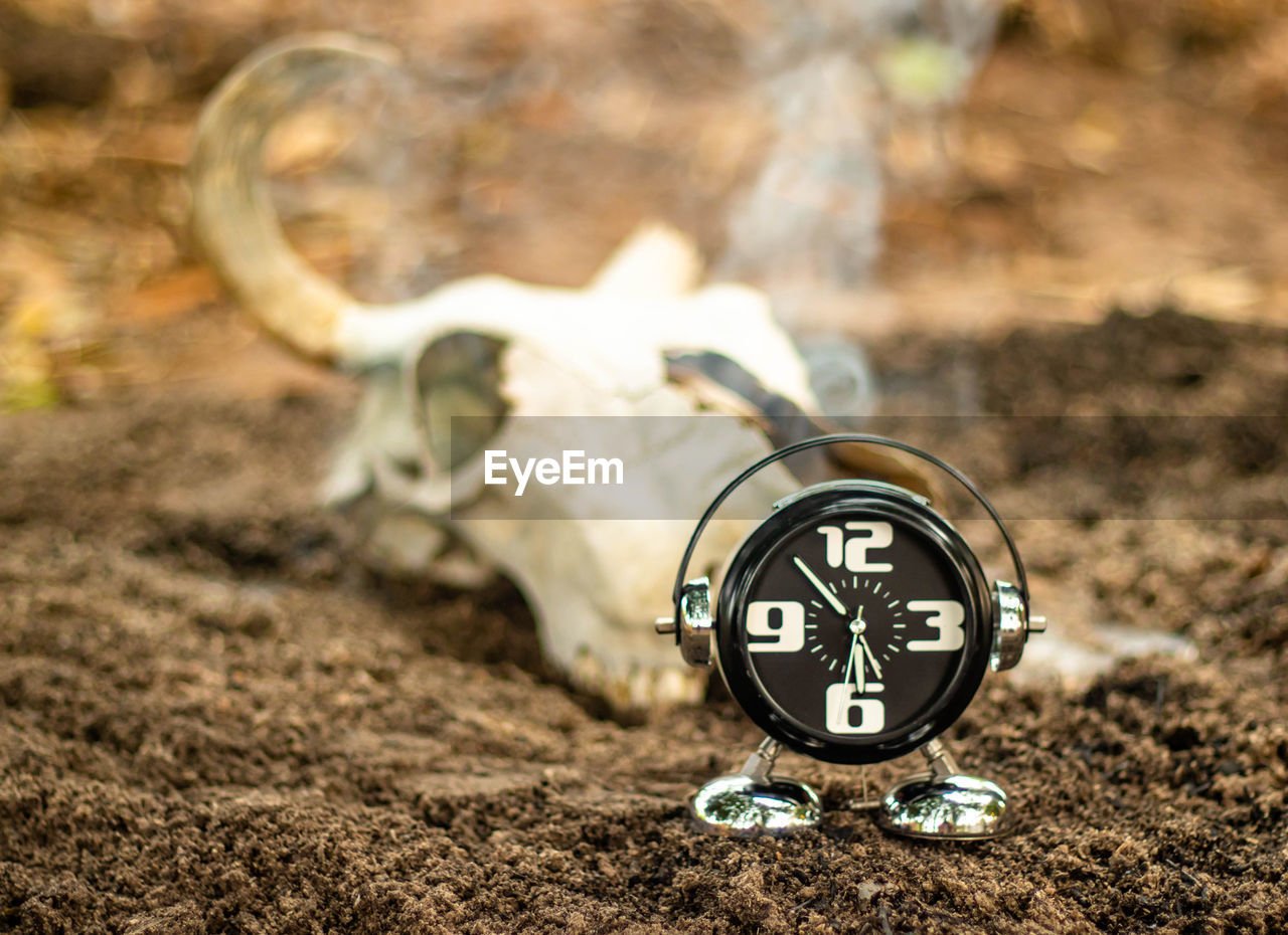 CLOSE-UP OF A CLOCK ON THE ROAD