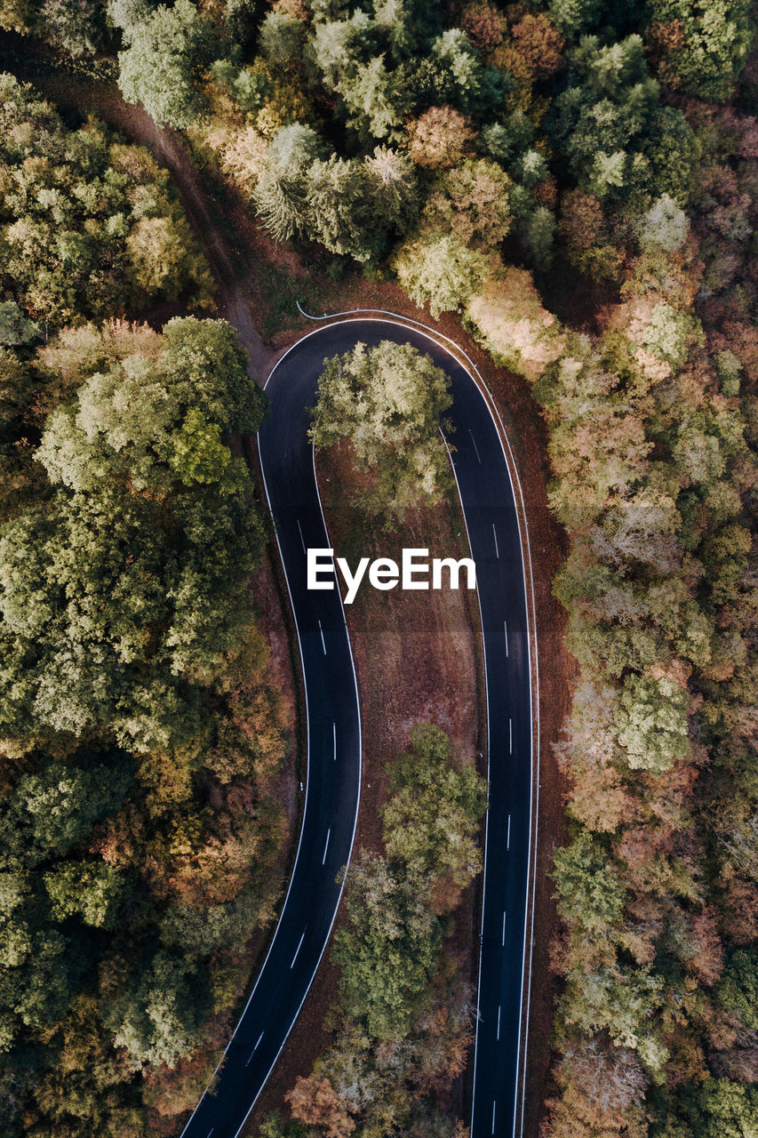 High angle view of road amidst trees in forest