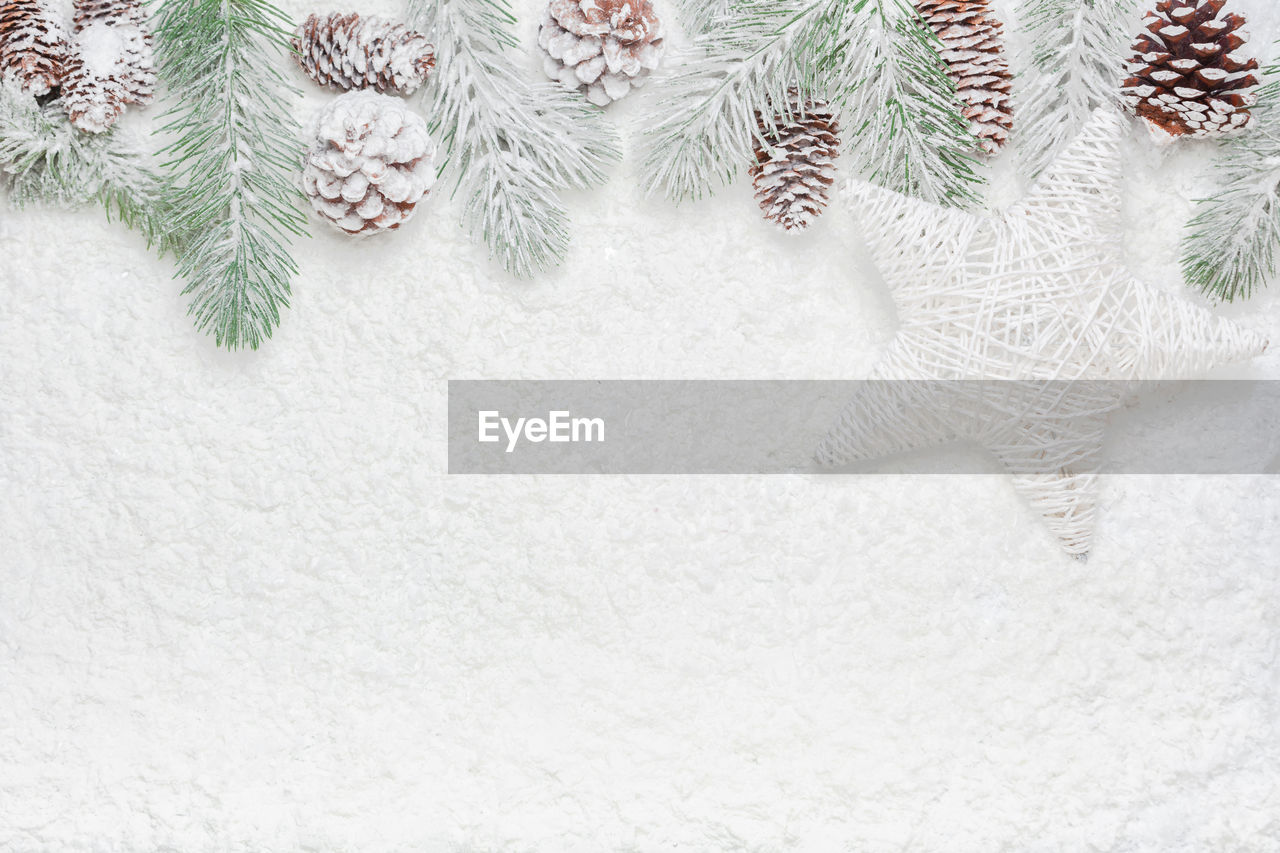 CLOSE-UP OF CHRISTMAS TREE ON SNOW COVERED LANDSCAPE