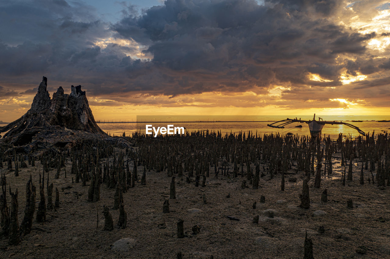 Panoramic view of wooden posts on land against sky during sunset