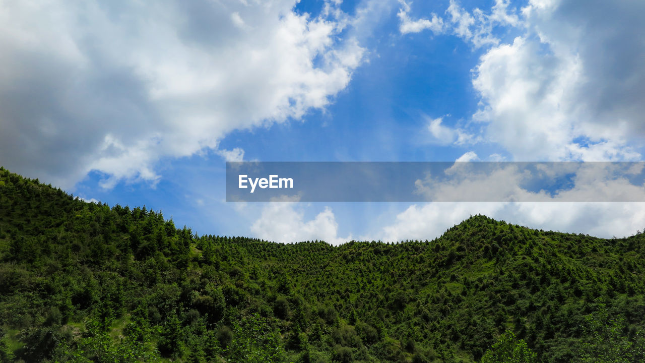 LOW ANGLE VIEW OF GREEN LANDSCAPE AGAINST SKY