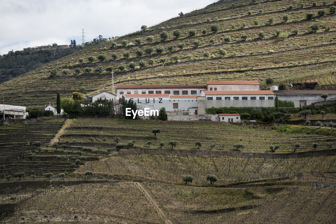 SCENIC VIEW OF FARM