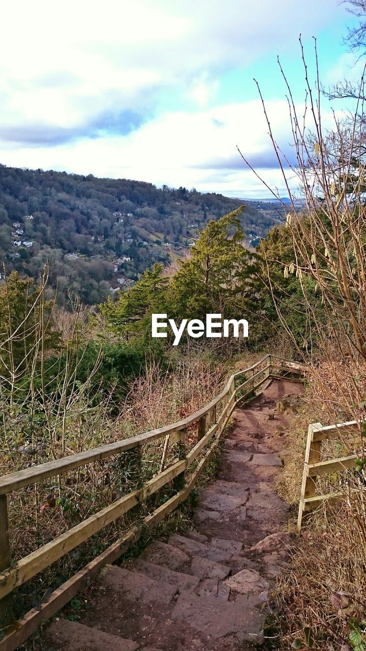 View of narrow stairs along landscape