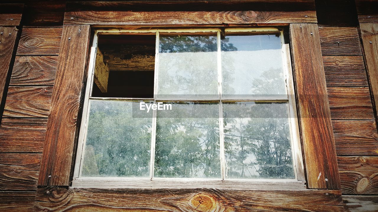 Reflection of trees in window