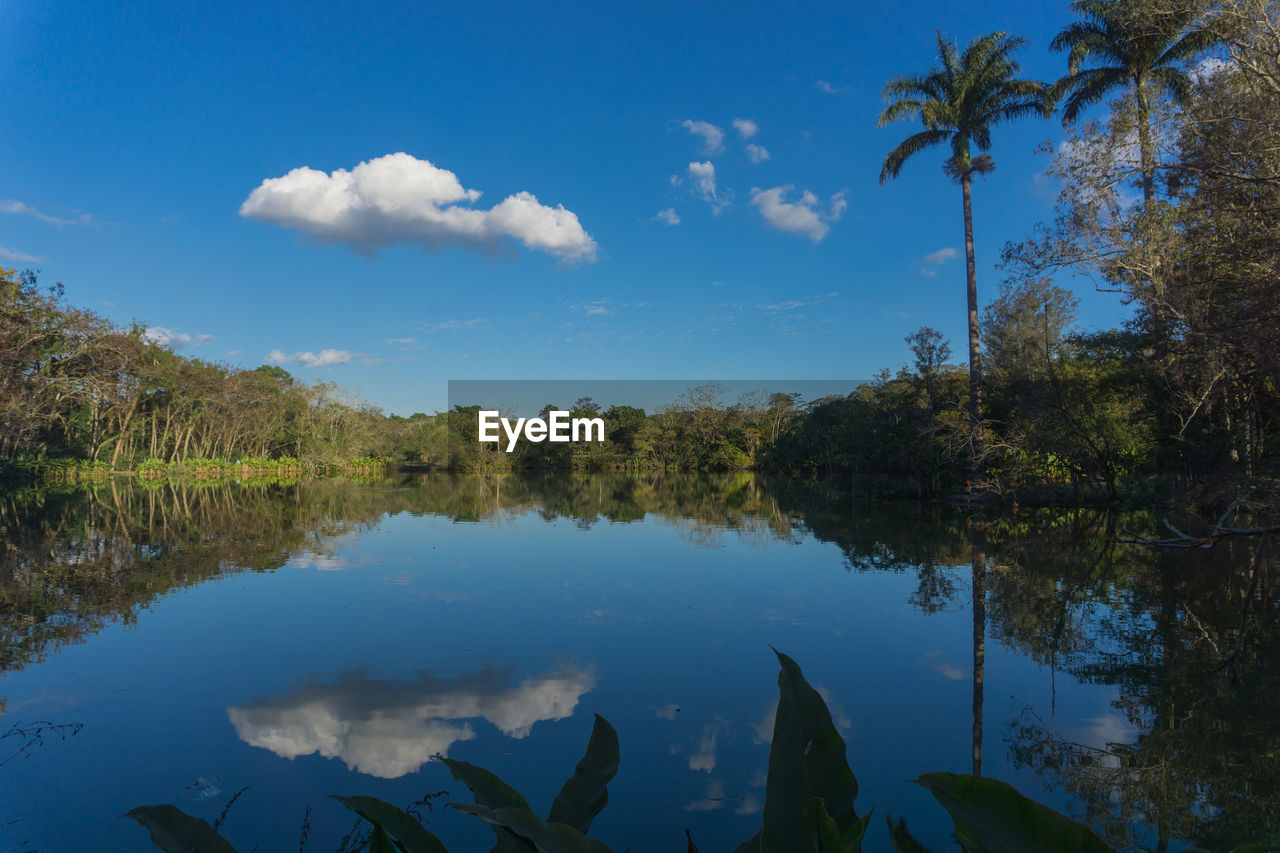 SCENIC VIEW OF LAKE AND TREES AGAINST BLUE SKY