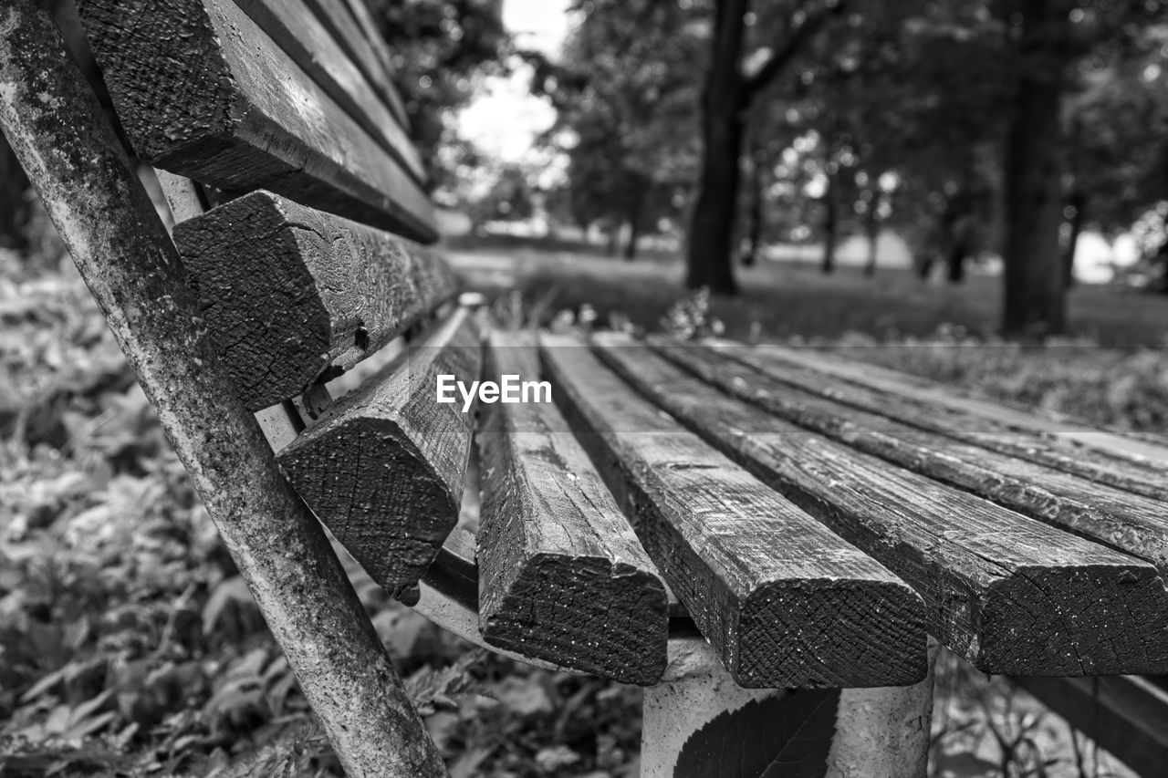 CLOSE-UP OF RAILROAD TRACK ALONG TREES