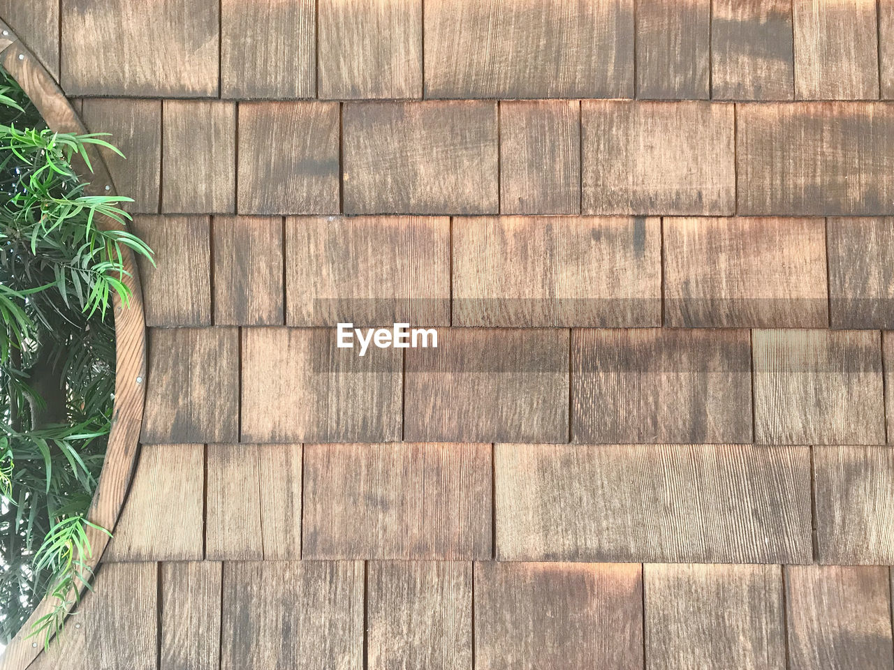 High angle view of wooden wall with plant container