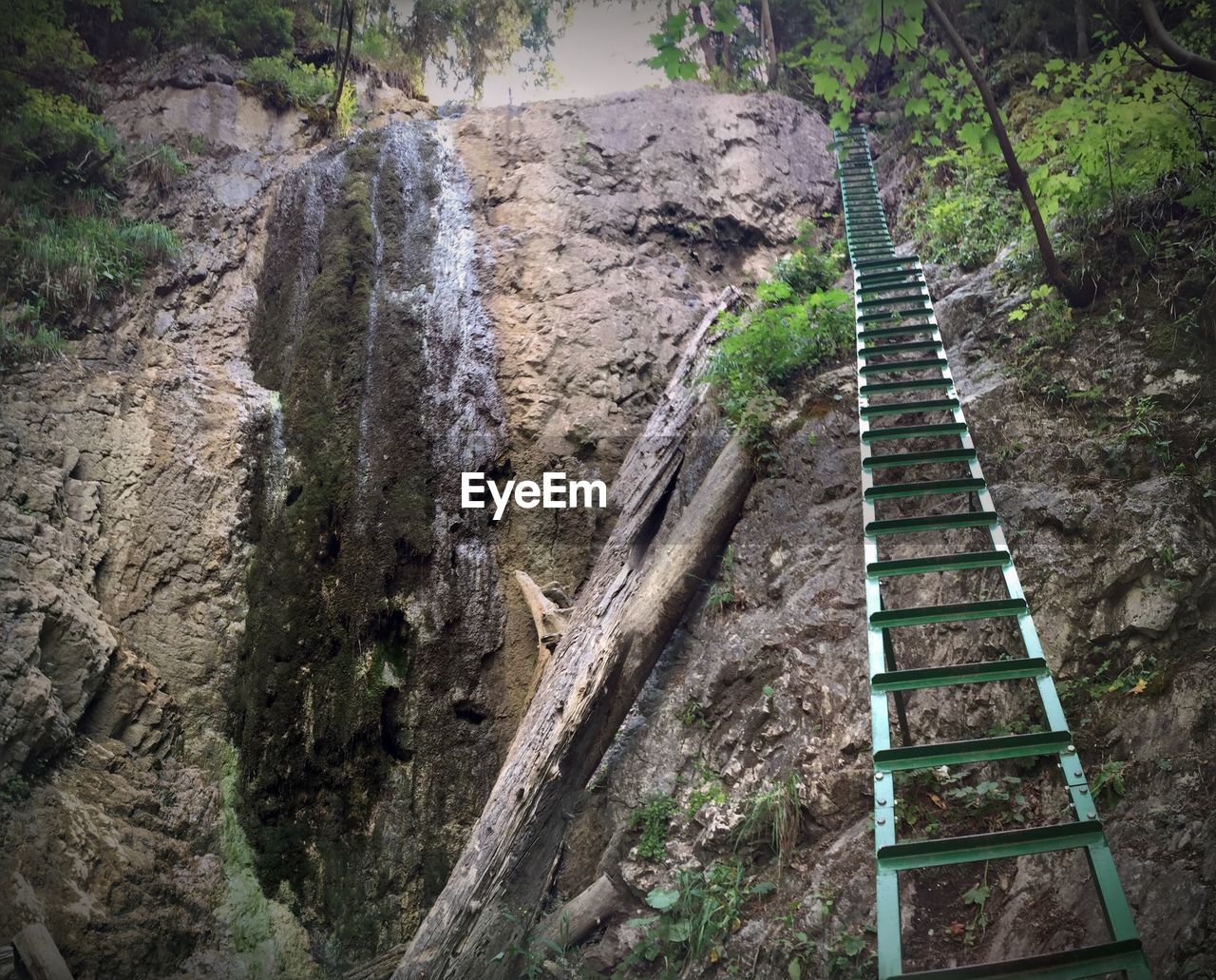 Low angle view of ladder on rocky mountain in forest