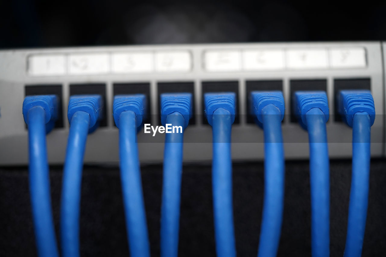 Selective focus of blue cat6 patch cord on patch panel