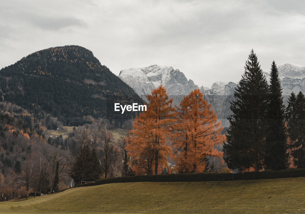 SCENIC VIEW OF MOUNTAINS DURING AUTUMN