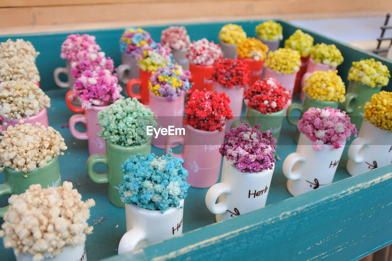 High angle view of various flowers in mugs for sale
