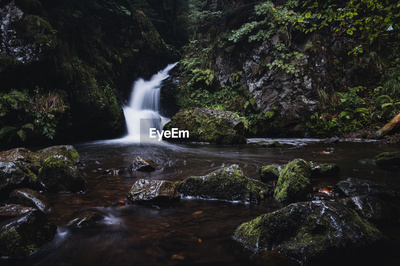 WATERFALL IN FOREST