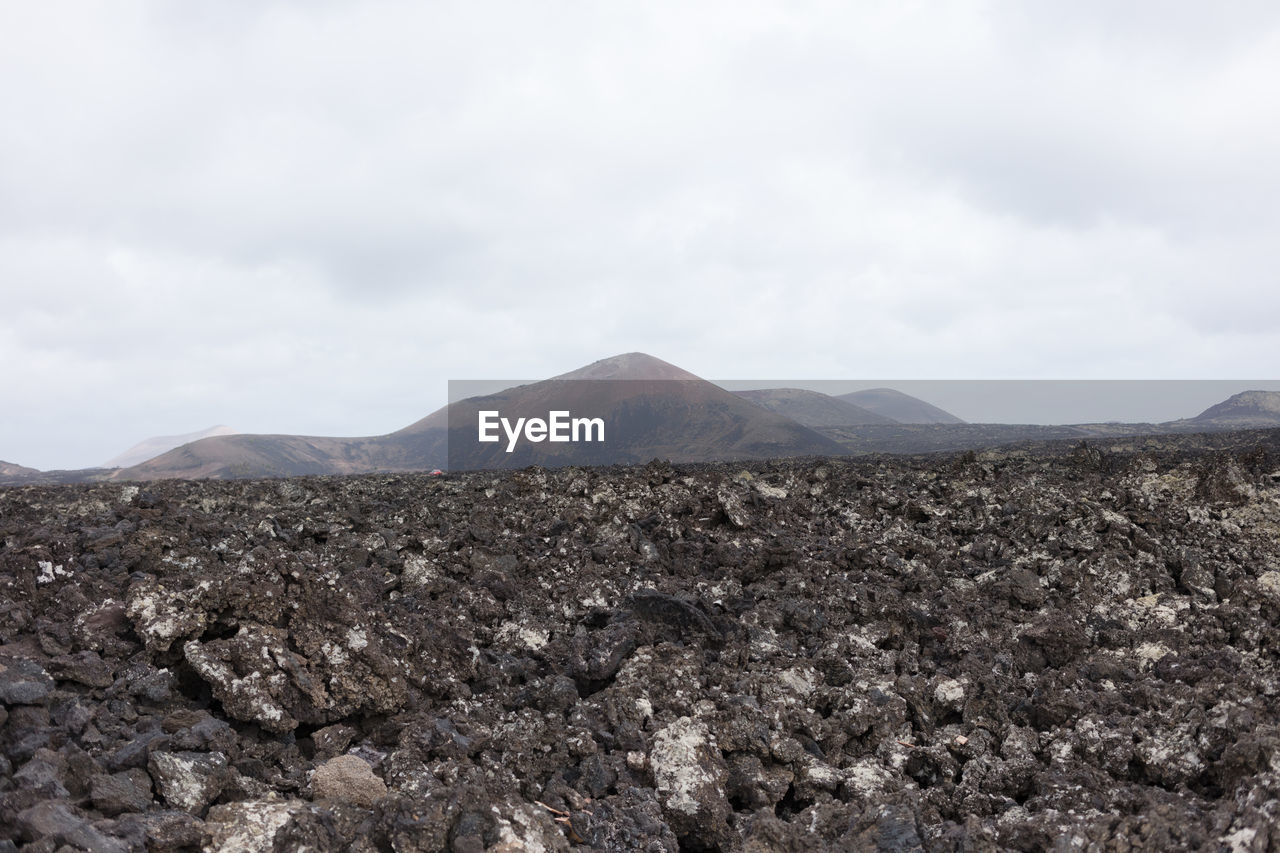 SCENIC VIEW OF LANDSCAPE