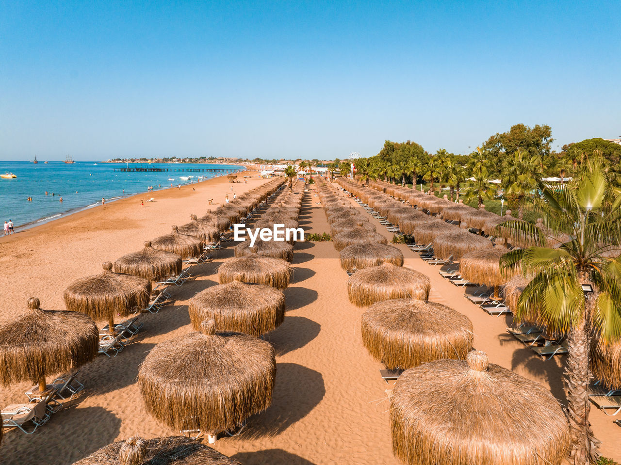 Tropical landscape with palm trees, parasols, white sand, ocean.