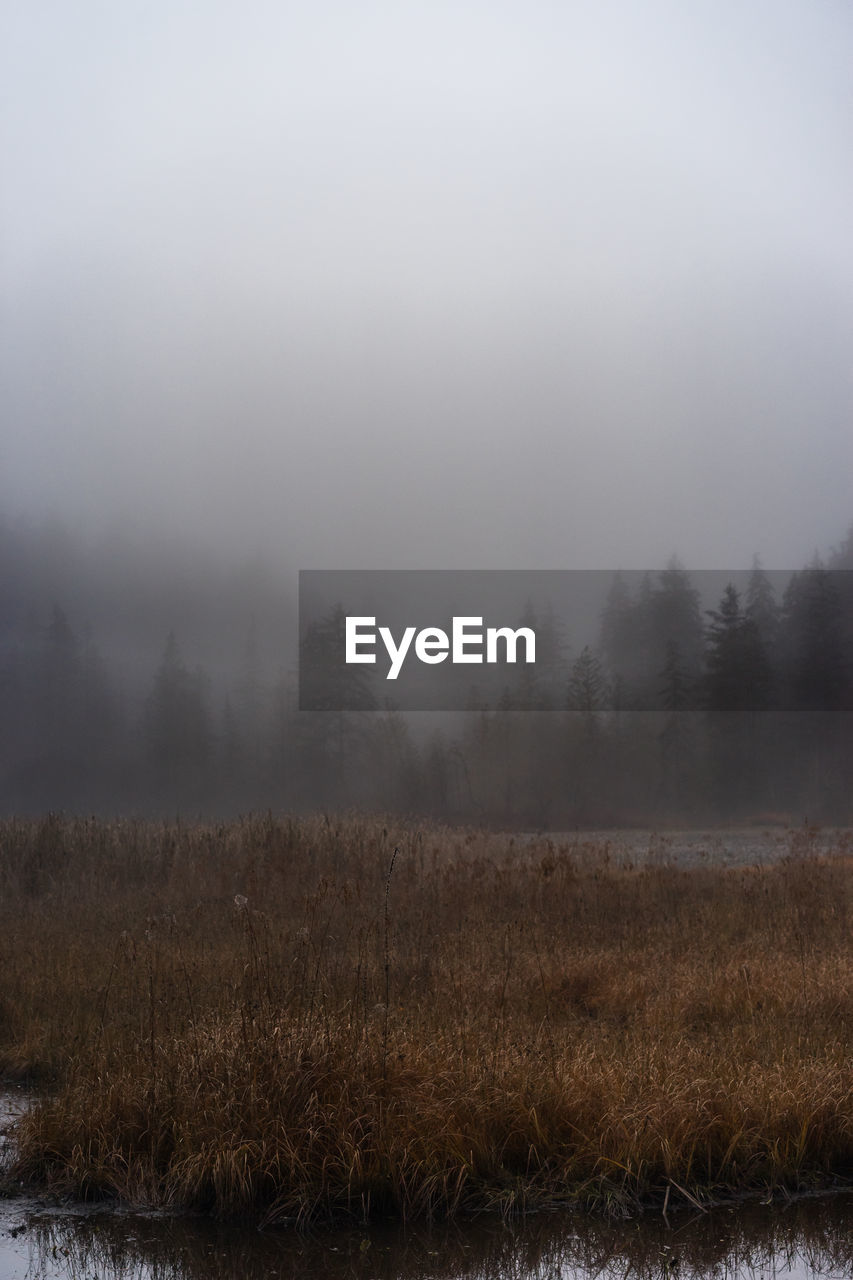 FIELD AGAINST SKY DURING FOGGY WEATHER