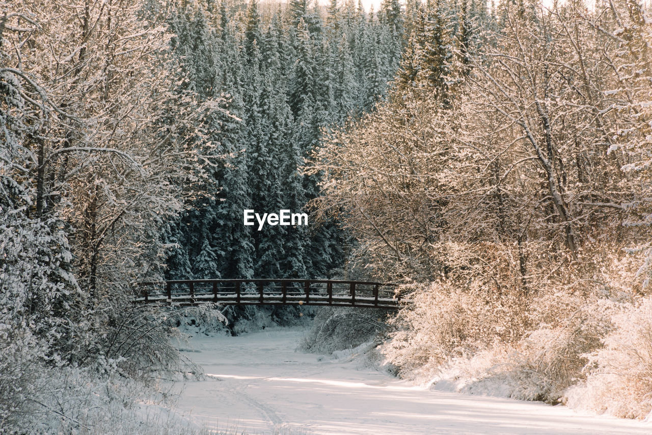 Snowy view of a pedestrian bridge in a forest