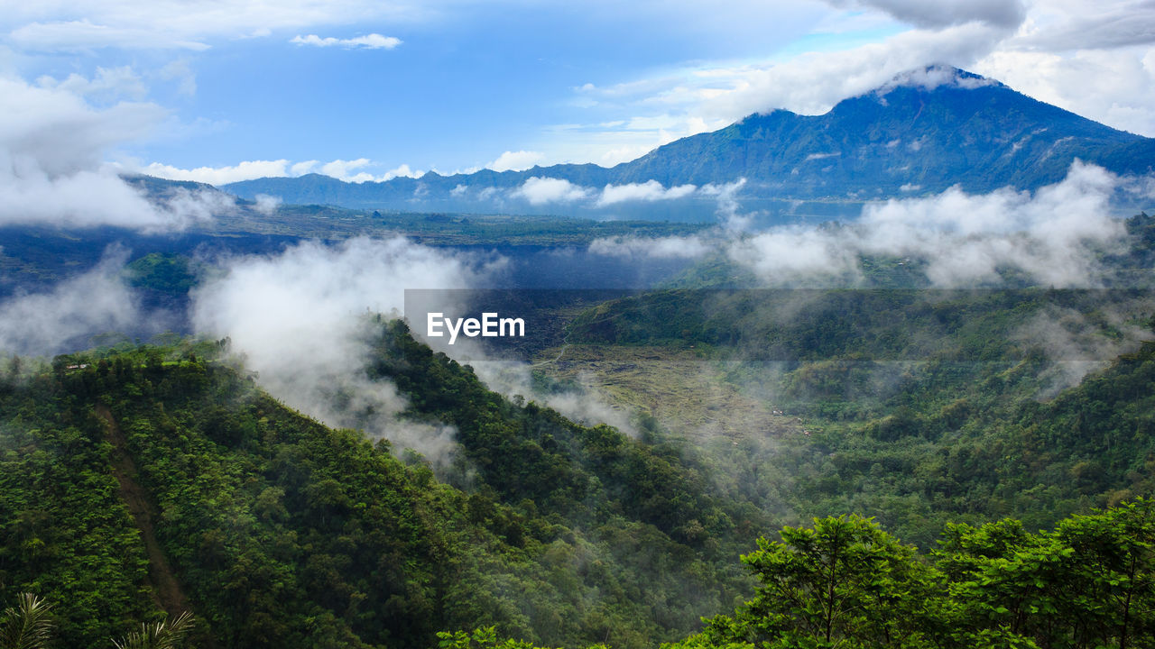 SCENIC VIEW OF FOGGY WEATHER