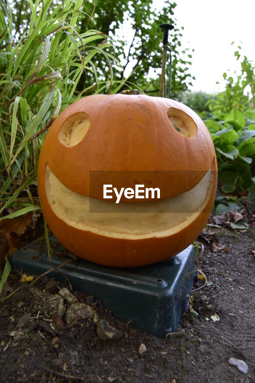 Close-up of anthropomorphic face on pumpkin in yard