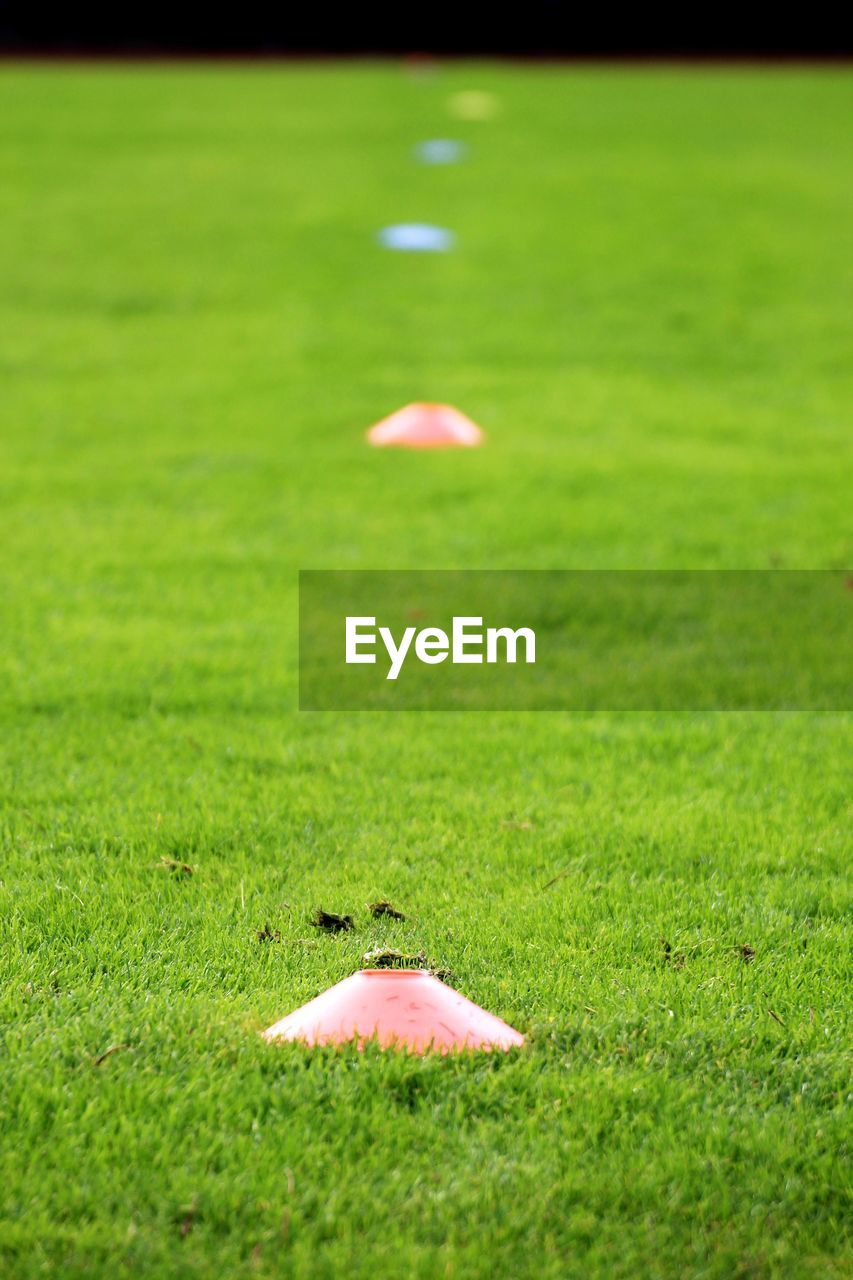 CLOSE-UP OF BALL ON GRASS