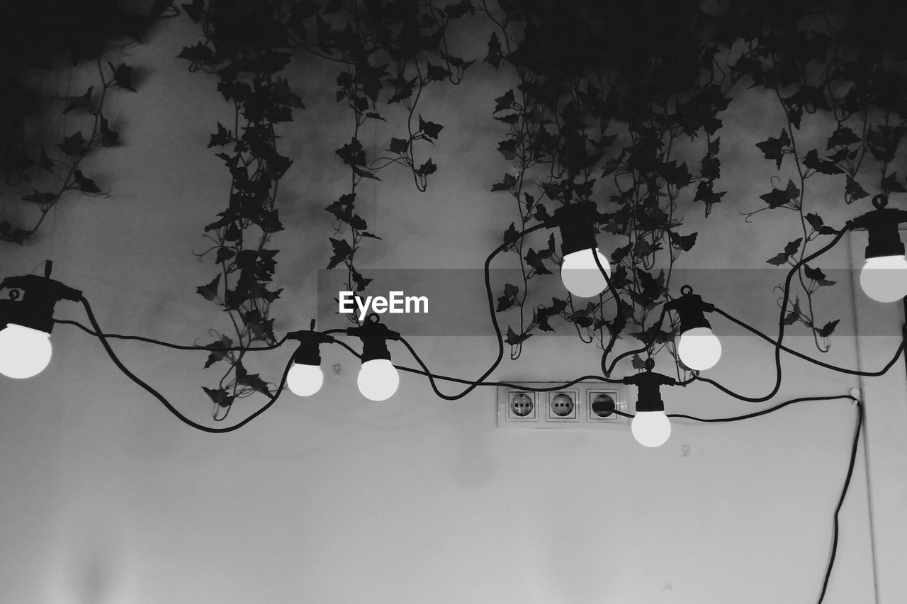 Low angle view of illuminated light bulb against wall with ivy