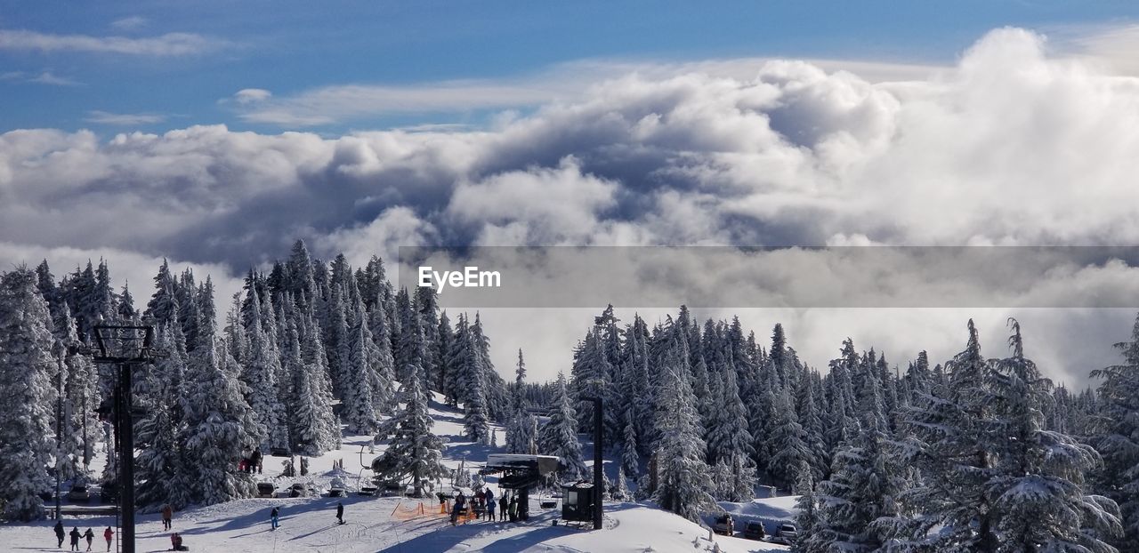 PANORAMIC VIEW OF TREES ON SNOW COVERED MOUNTAIN AGAINST SKY