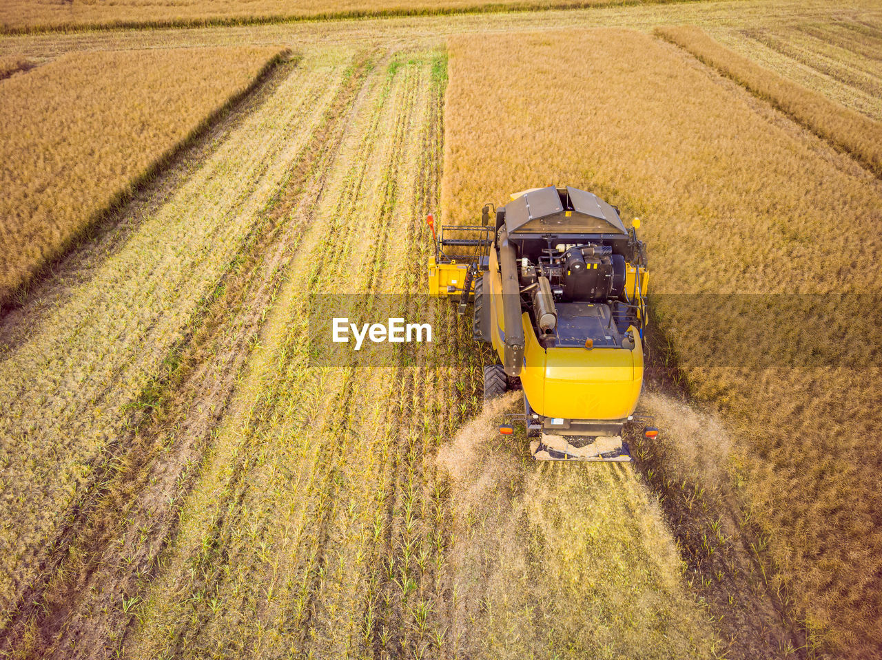 Combine harvester working on the large wheat field. aerial view of combine harvester.