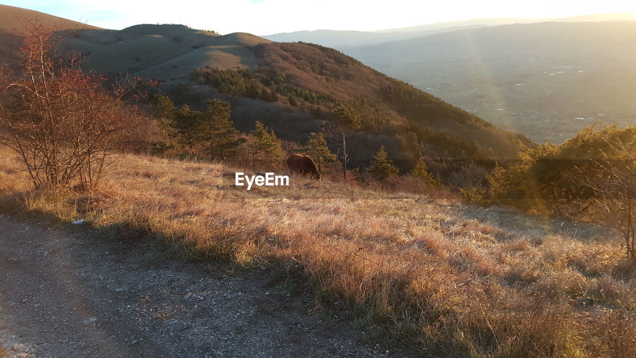 SCENIC VIEW OF LANDSCAPE AGAINST MOUNTAINS