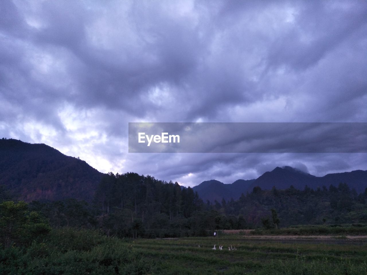 SCENIC VIEW OF MOUNTAIN AGAINST SKY