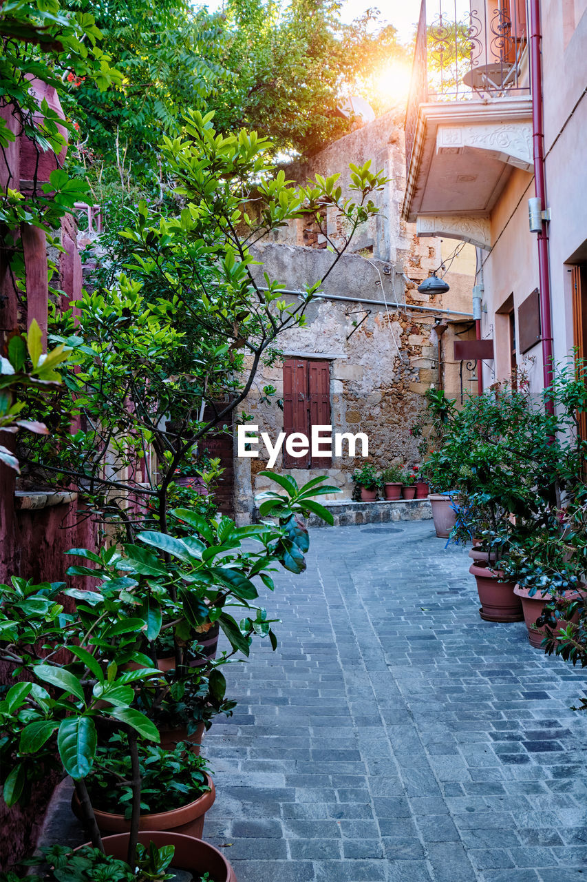 Scenic picturesque streets of chania venetian town. chania, crete, greece
