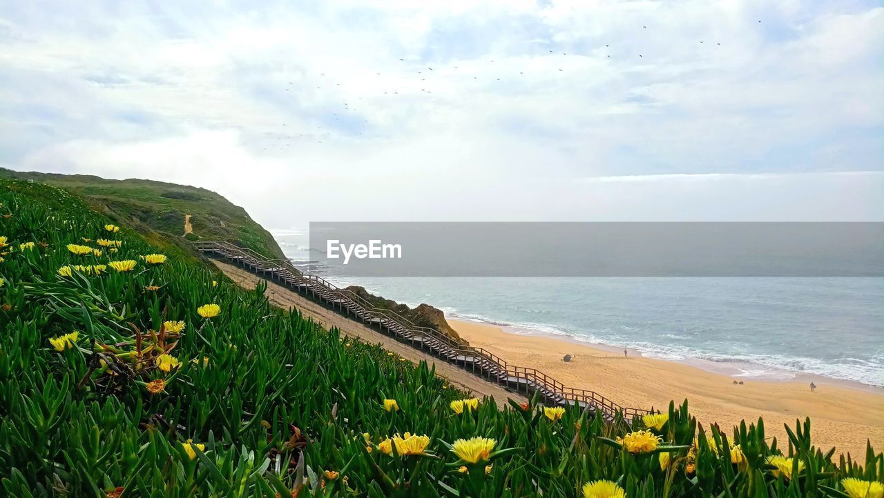 SCENIC VIEW OF SEA AGAINST SKY DURING SUNRISE