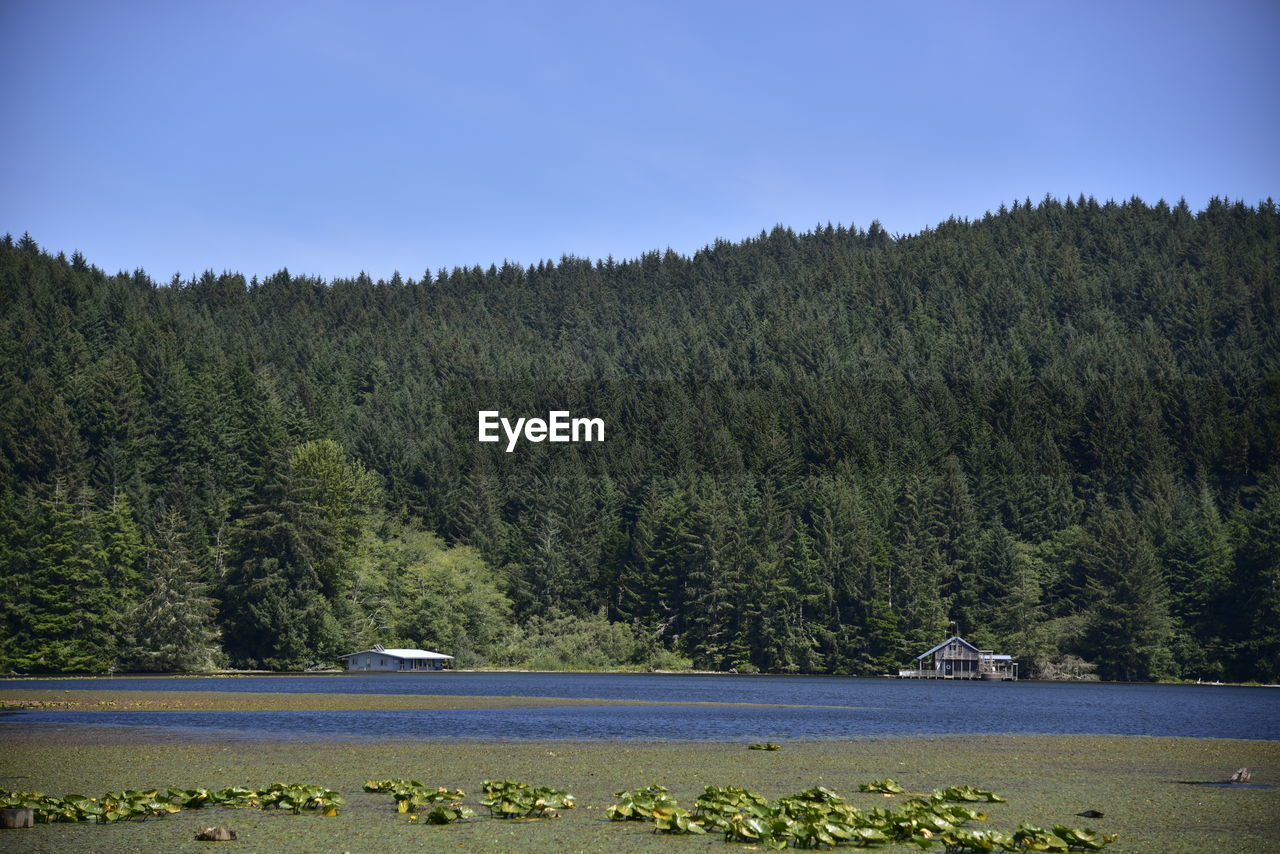 Scenic view of lake against clear sky