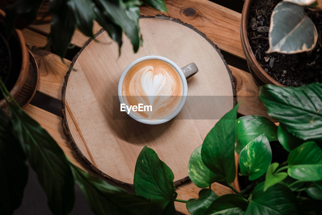 Coffee latte with heart foam art from top view on wood table with green plants around