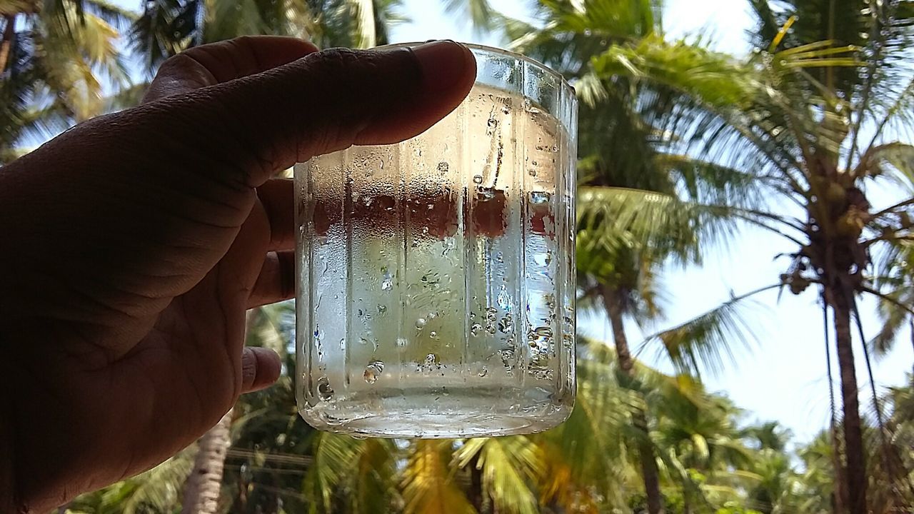 Cropped image of man holding drinking glass against palm trees