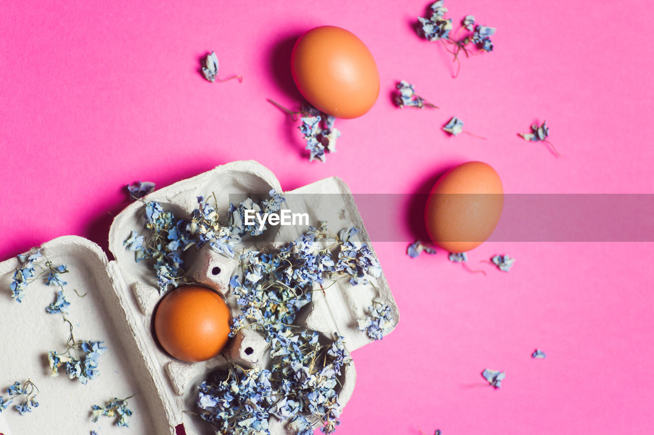 Close-up of eggs and flowers in carton on pink background