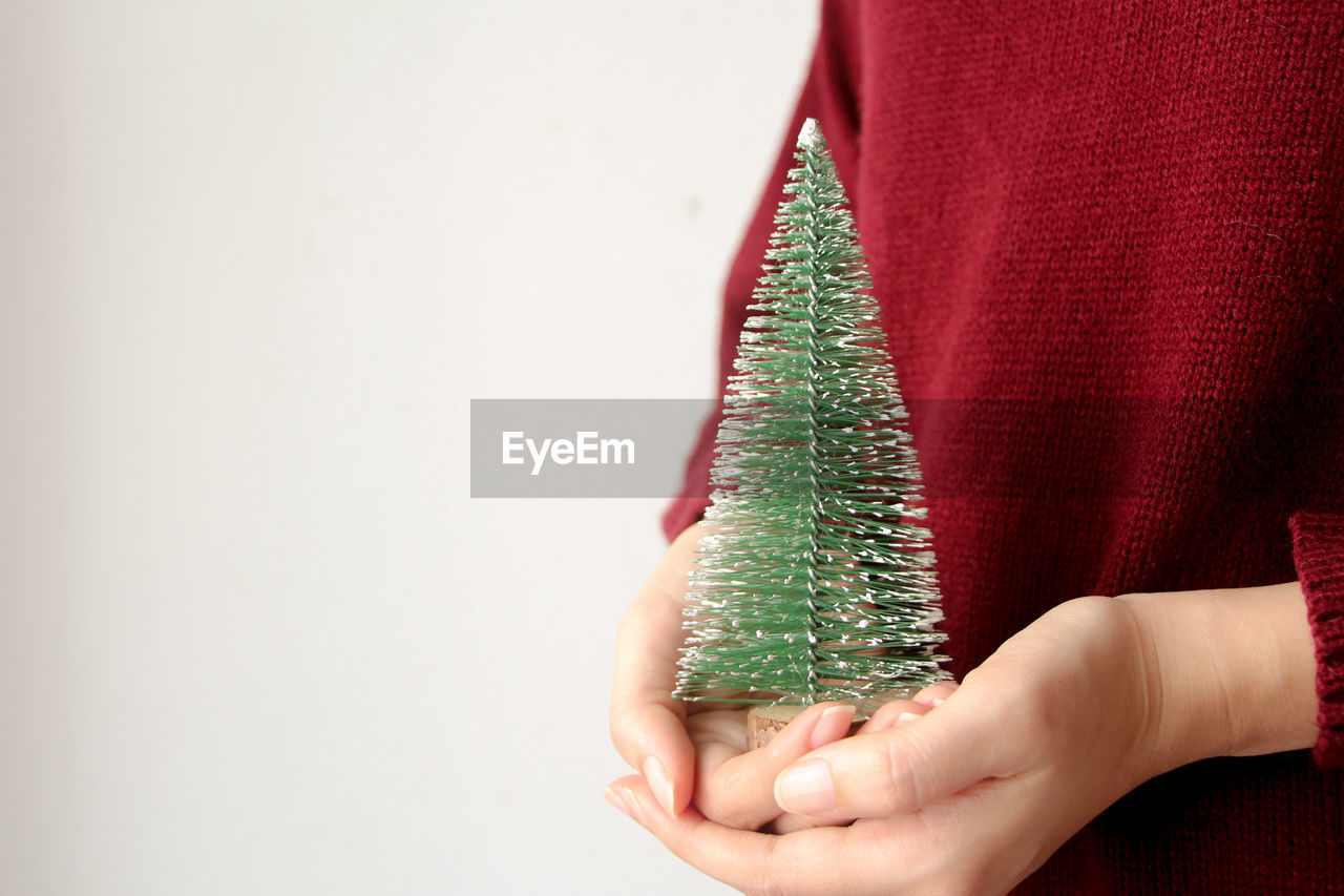 Woman with red sweater holding small christmas tree.