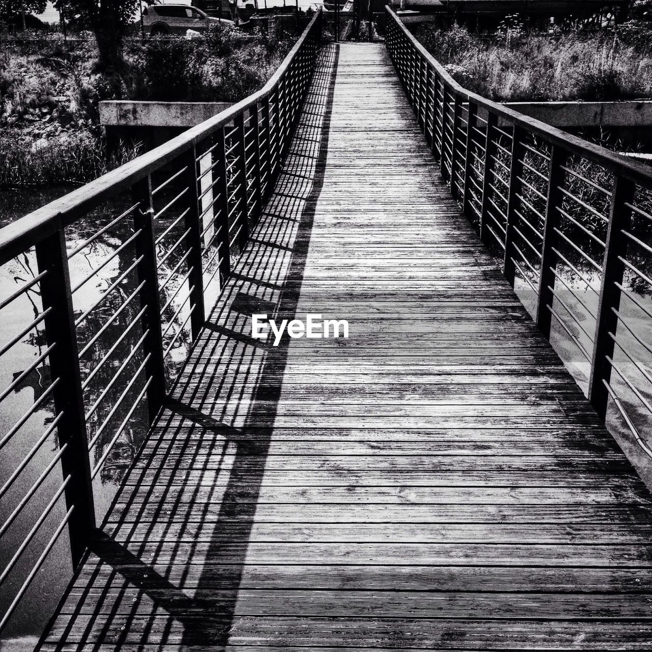 FOOTBRIDGE OVER TREES