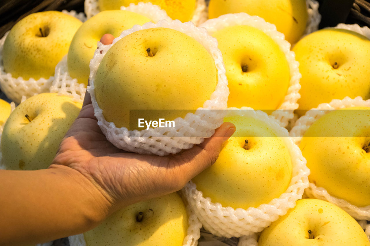 CLOSE-UP OF HAND HOLDING FRUIT