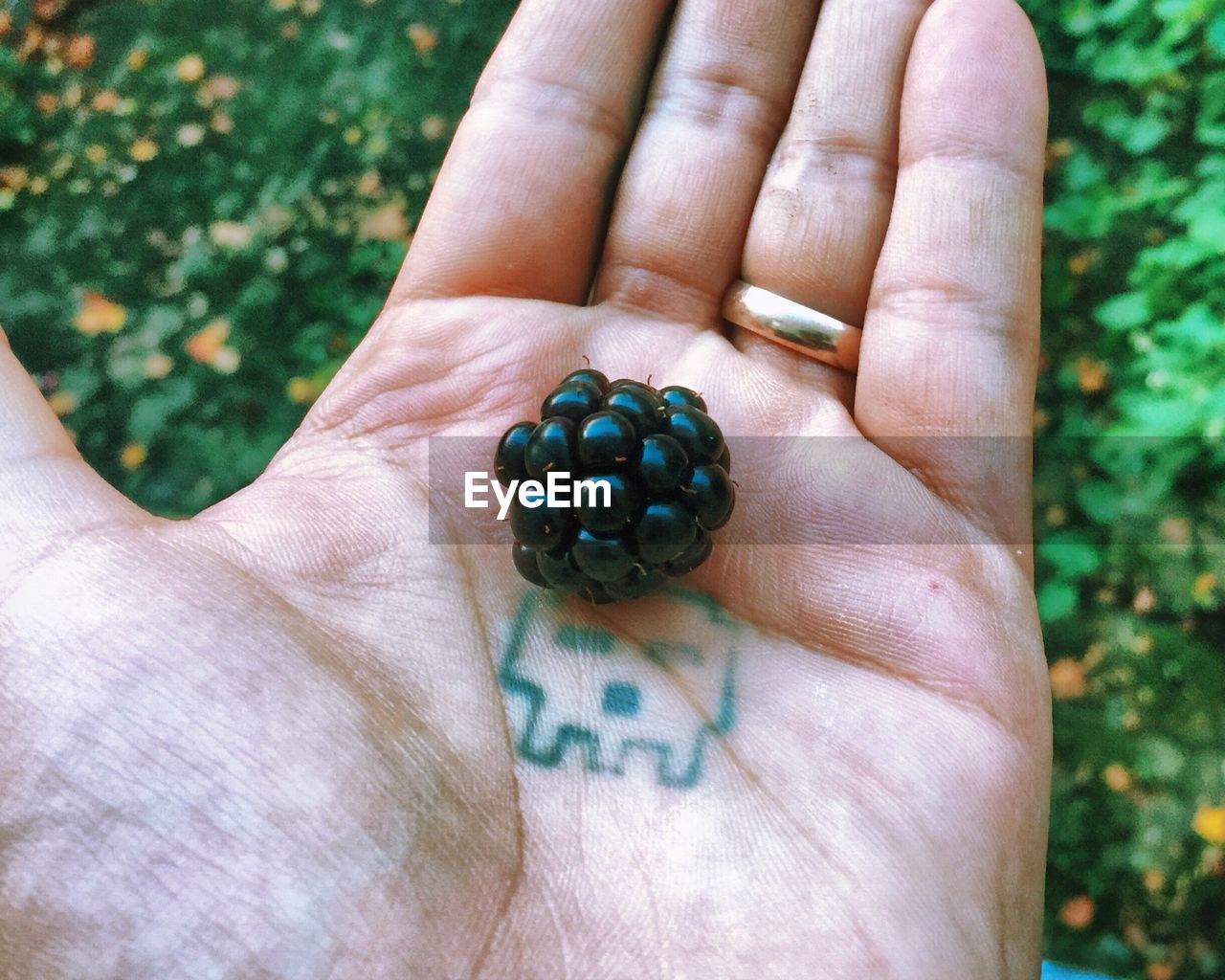 Cropped image of hand holding blackberry