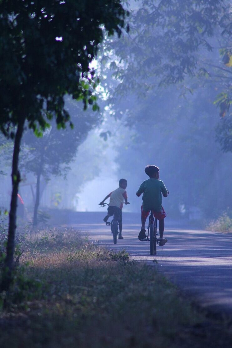 tree, two people, plant, men, transportation, nature, adult, bicycle, morning, full length, togetherness, activity, women, fog, sports, lifestyles, leisure activity, road, motion, sunlight, walking, rear view, outdoors, cycling, day, riding, child, family, mode of transportation, childhood