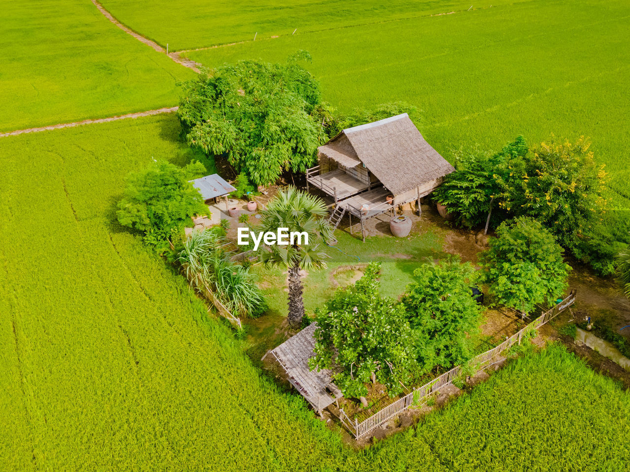 high angle view of grass on field