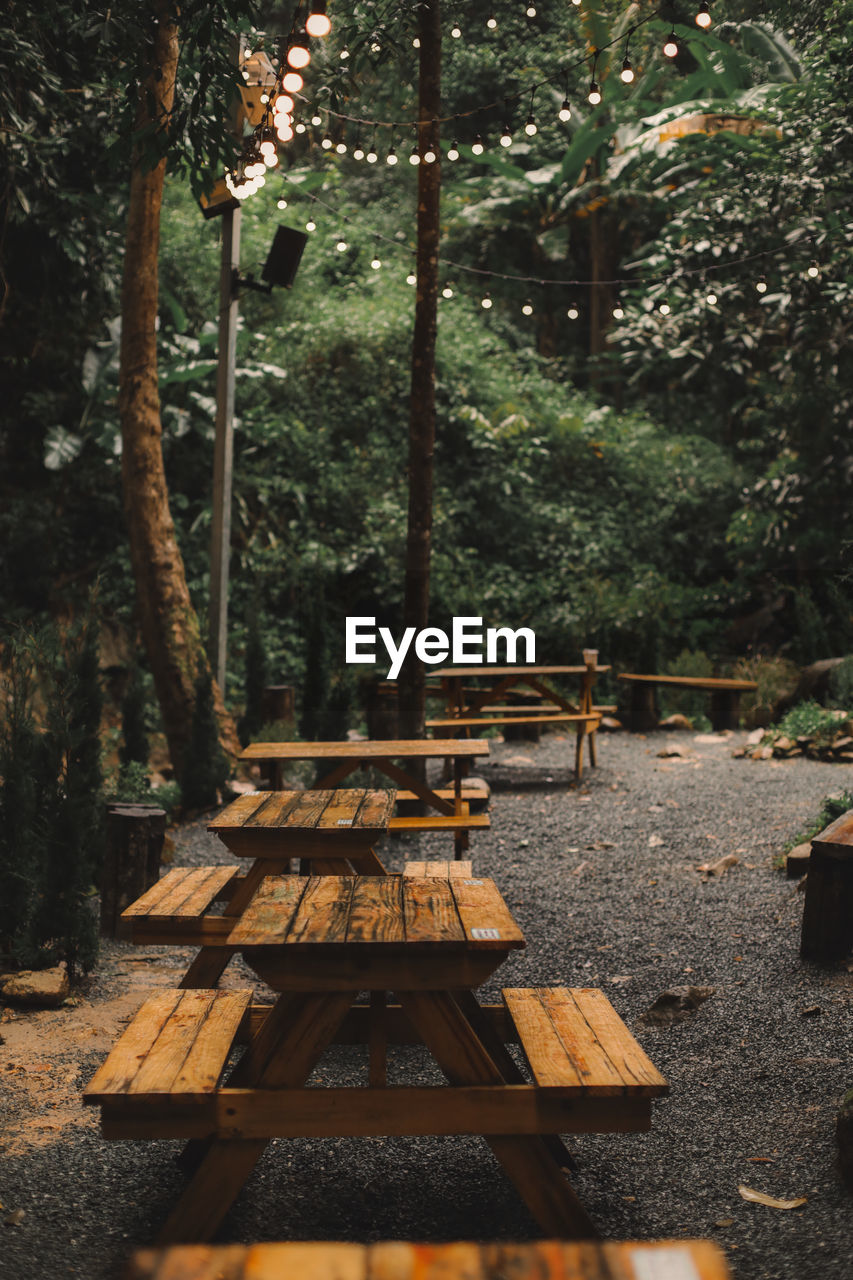 EMPTY BENCH IN FOREST