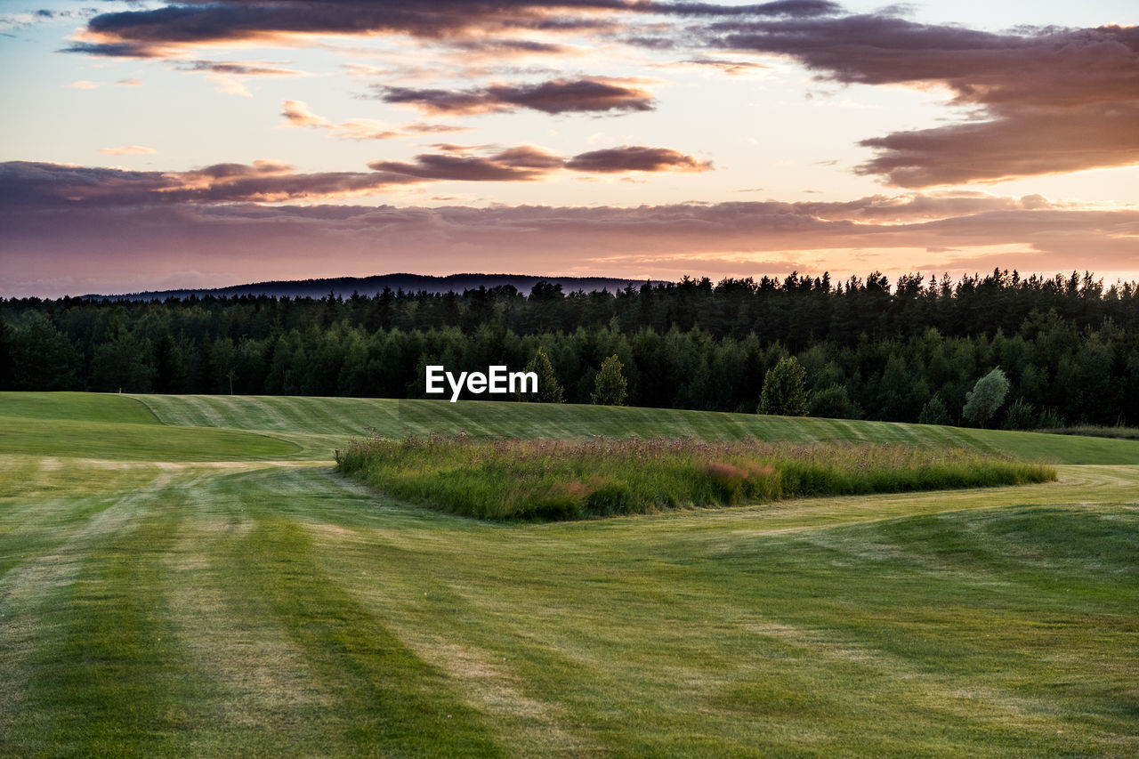 Scenic view of landscape and trees against sky during sunset