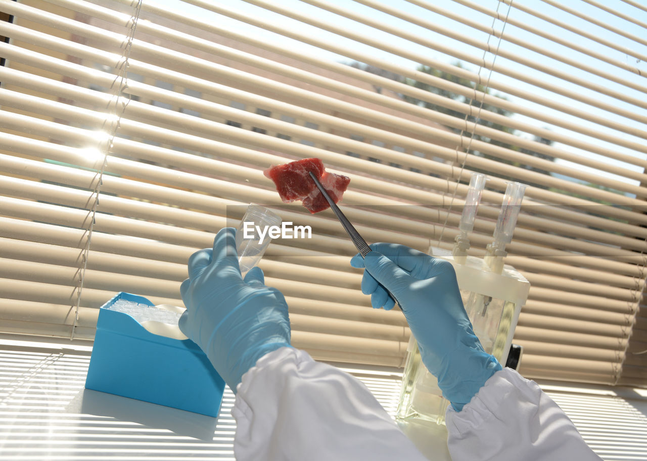 Cropped image of scientist examining meat at laboratory