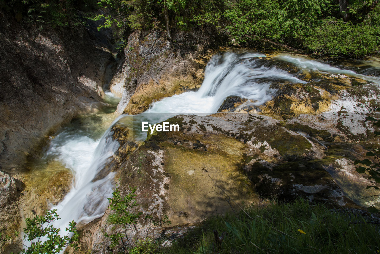 Scenic view of waterfall in forest