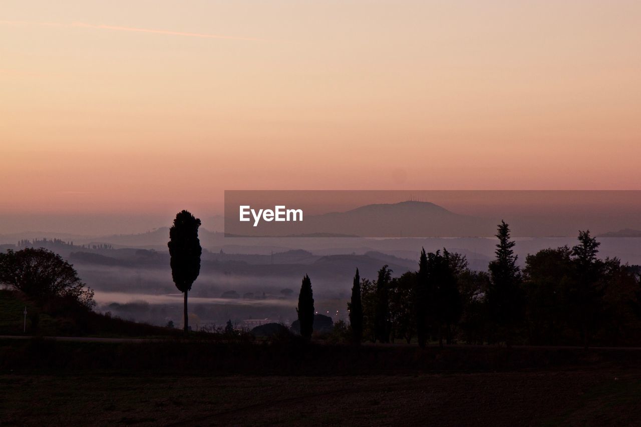 Silhouette trees on mountain against sky during sunset