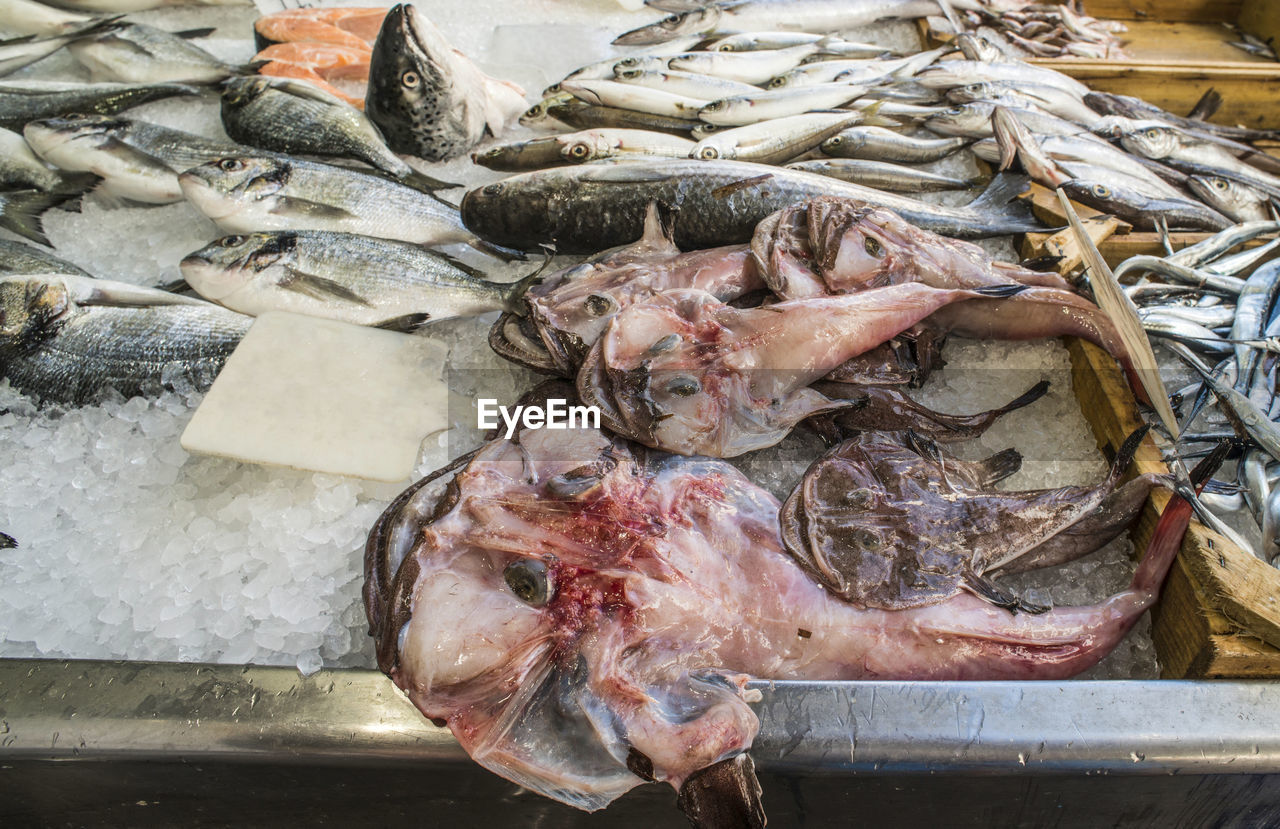 CLOSE-UP OF FISH FOR SALE AT MARKET