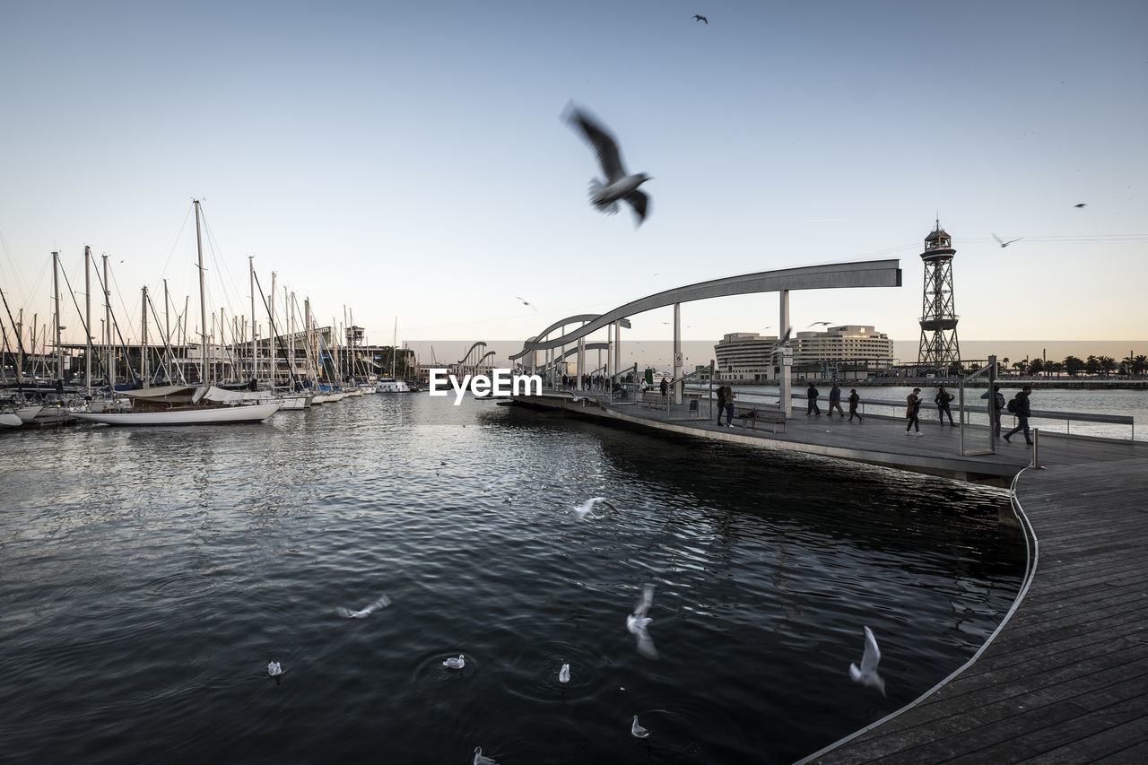 Seagulls flying over sea against clear sky at port vell