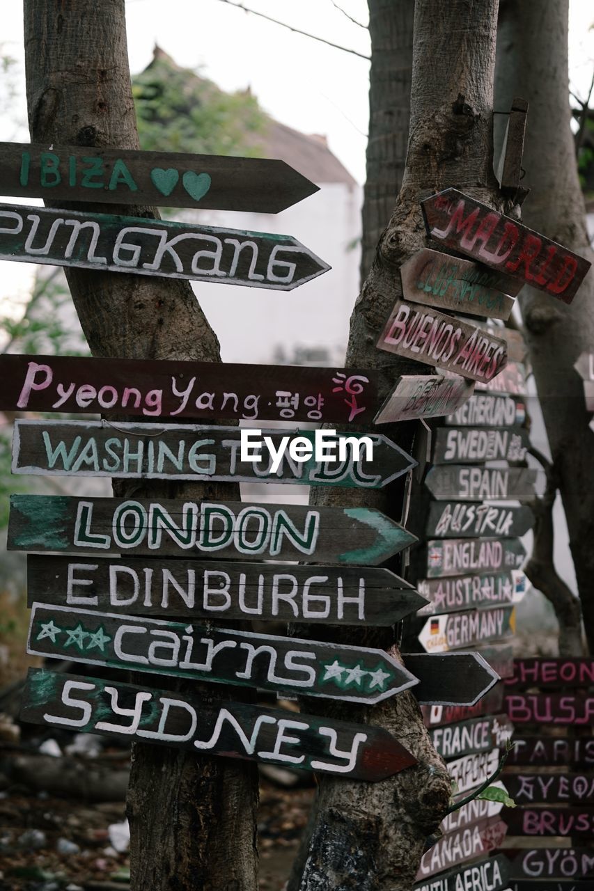 LOW ANGLE VIEW OF TEXT ON TREE TRUNK