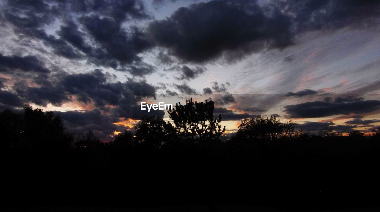 SILHOUETTE TREES AGAINST CLOUDY SKY