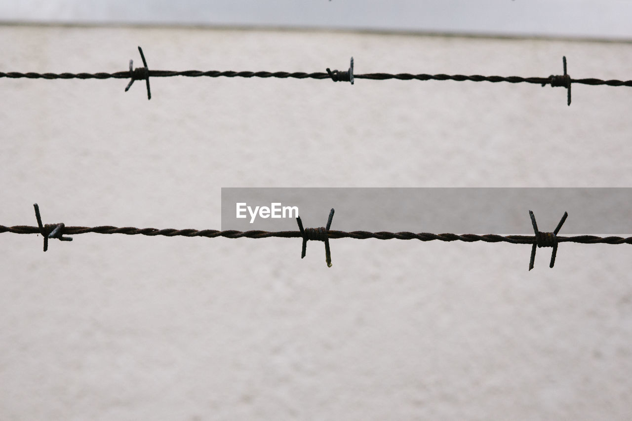 Close-up of barbed wire against wall